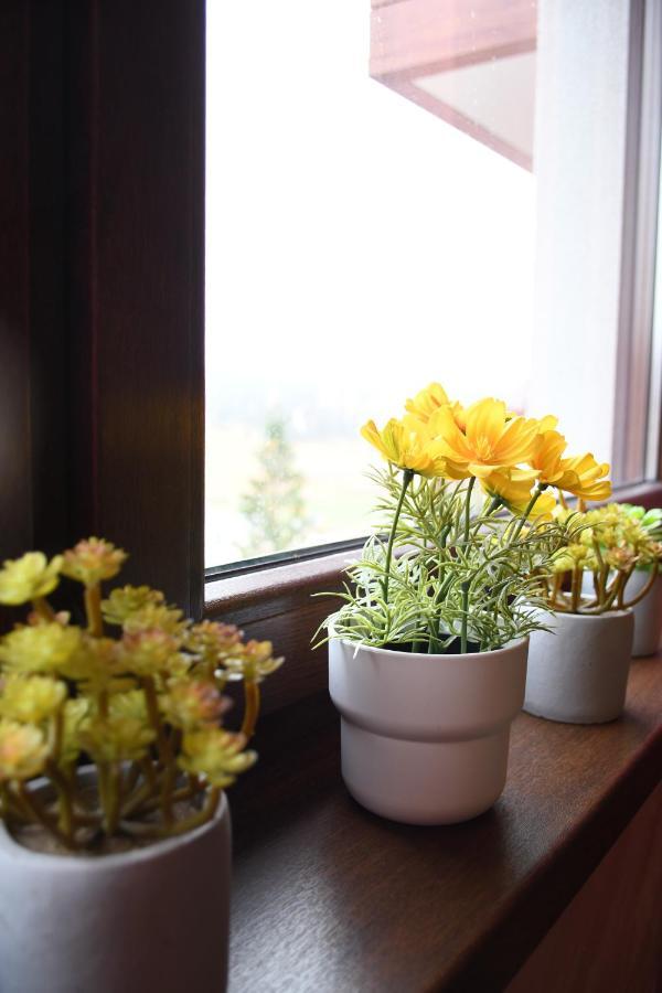 Apartman Dream Zlatibor Exteriér fotografie